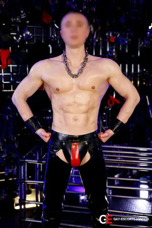 Gay Escort Master Alecs 30yr - double penetration