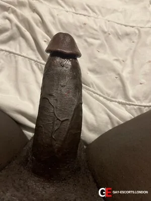 Gay Escort Afrotiger 30yr - masseur