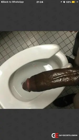 Gay Escort Afrotiger 30yr - massage