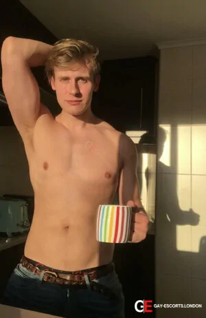Gay Escort Finn 22yr - licking
