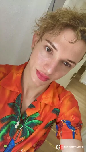 Gay Escort Derick Top 21yr - always safe sex