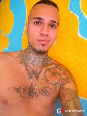 Gay Escort Leo Rex Porn Star 26yr - dirty talk