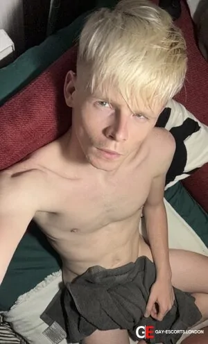 Gay Escort Kay 23yr - rimming