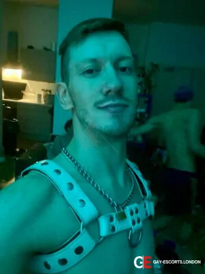 Gay Escort Robi 26yr - always safe sex