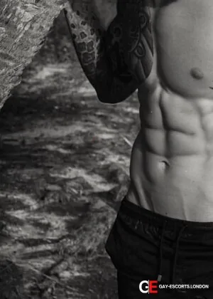 Bisexual Escort Swedish Viking 27yr - sauna