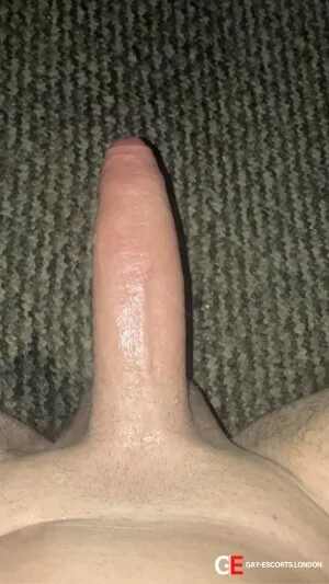 Bisexual Escort £90 Xxl 29yr - trios