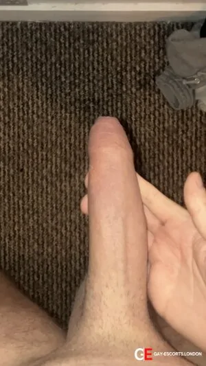 Bisexual Escort Xxxl 29yr - always safe sex
