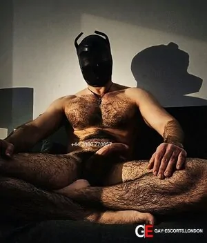 Bisexual Escort Leafar_topxl 31yr - massage
