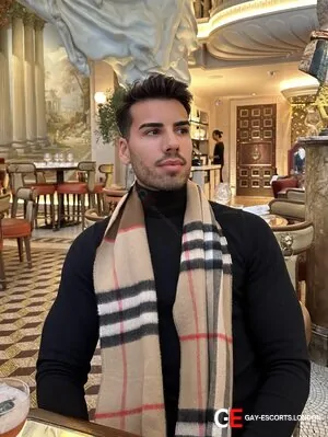 Gay Escort Ryan Fortunato 23yr - trios