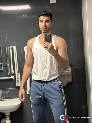 Gay Escort Ryan Fortunato 23yr - trios