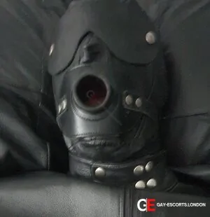 Gay Escort Sir 50yr - trios