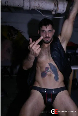 Bisexual Escort Andrewco 30yr - gangbang