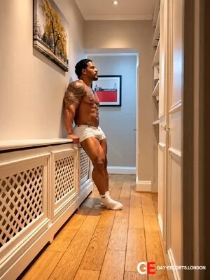 Bisexual Escort Jhony-xxl 29yr - exhibitionist