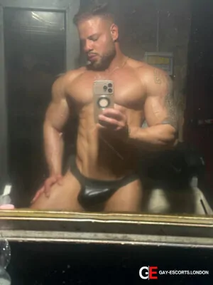Gay Escort Clauditorrony 27yr - role