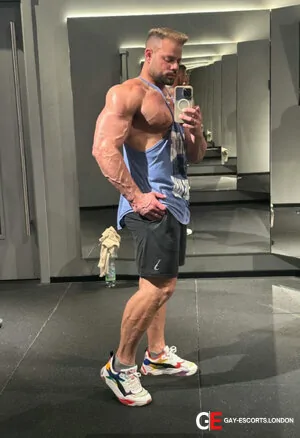 Gay Escort Clauditorrony 27yr - role