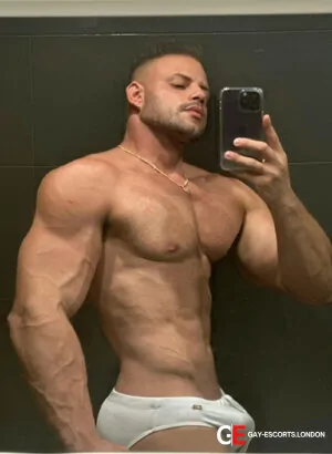 Gay Escort Clauditorrony 27yr - role