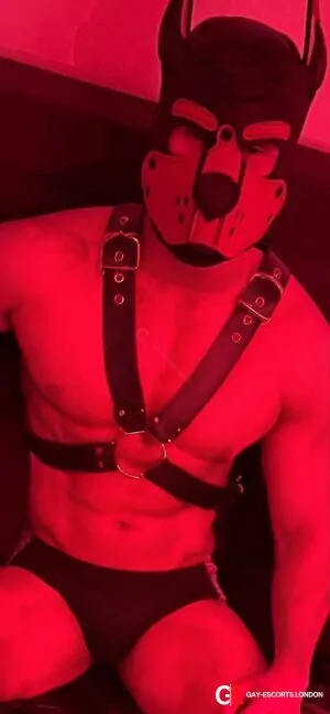 Bisexual Escort Pedro 37yr - role