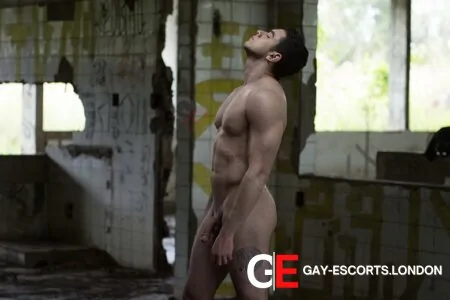 Gay Escort Diego 30yr - sucking