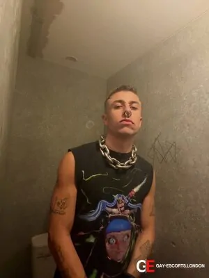 Gay Escort Ty 27yr - role
