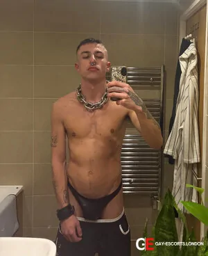 Gay Escort Ty 27yr - role