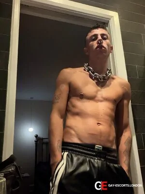Gay Escort Ty 27yr - role