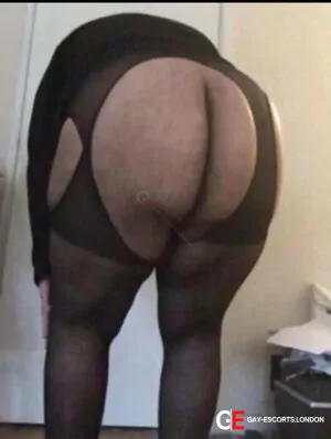 Bisexual Escort Jack 38yr - licking