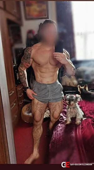 Bisexual Escort Petar 35yr - licking