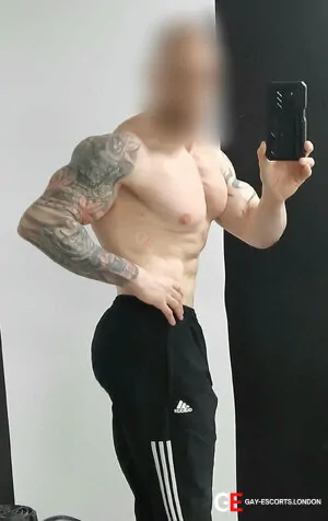 Bisexual Escort Petar 35yr - licking