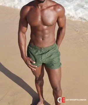 Gay Escort Kevin 26yr - licking