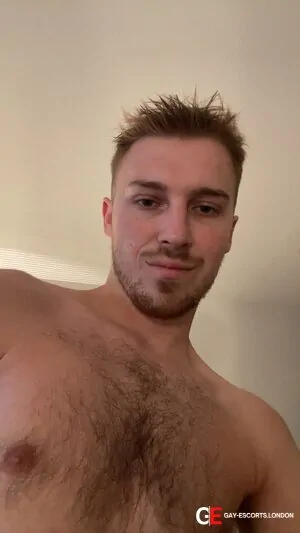 Gay Escort Ryan 22yr - dirty talk