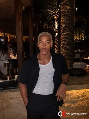 Gay Escort Josh 26yr - role